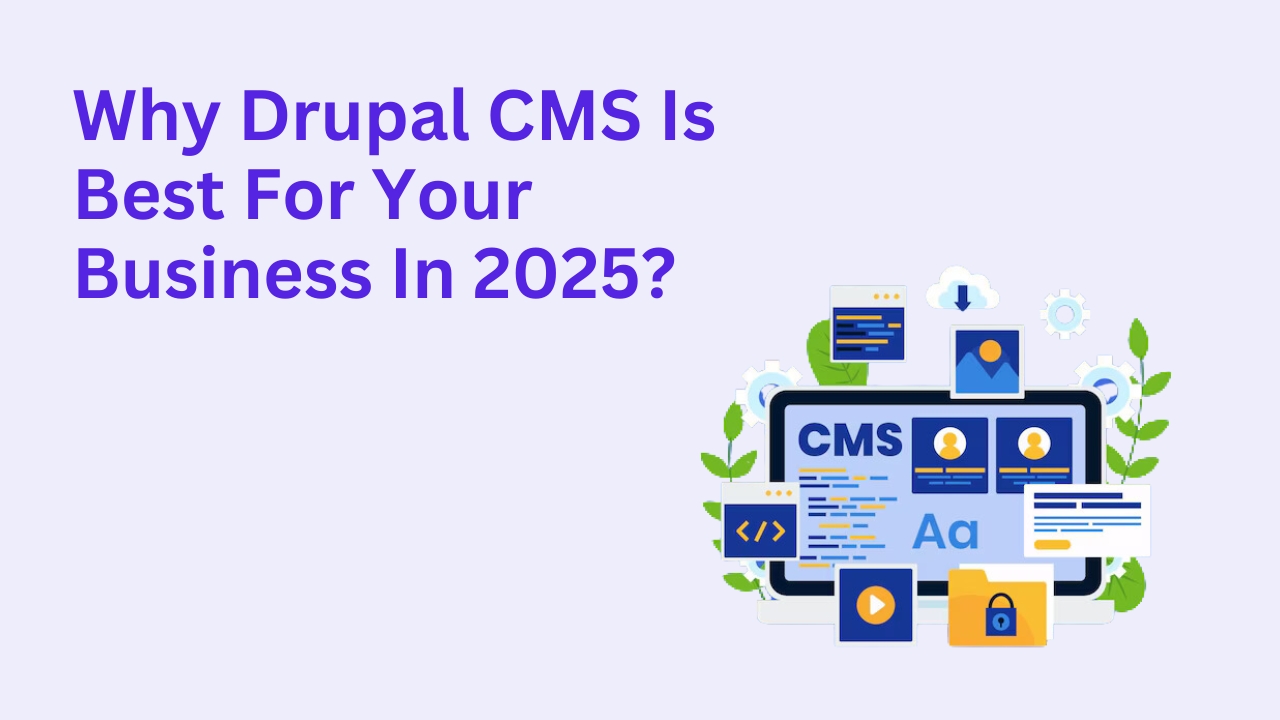 Why Drupal CMS Is Best For Your Business In 2025?