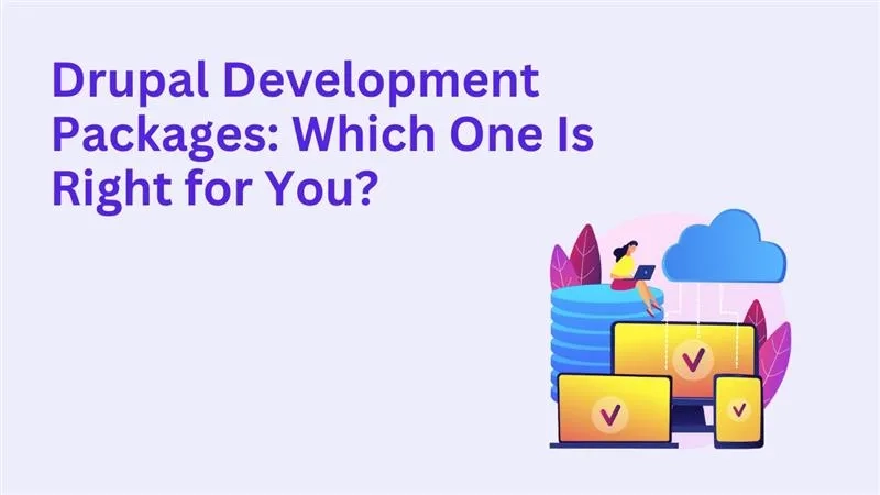 Drupal Development Packages: Which One Is Right for You?