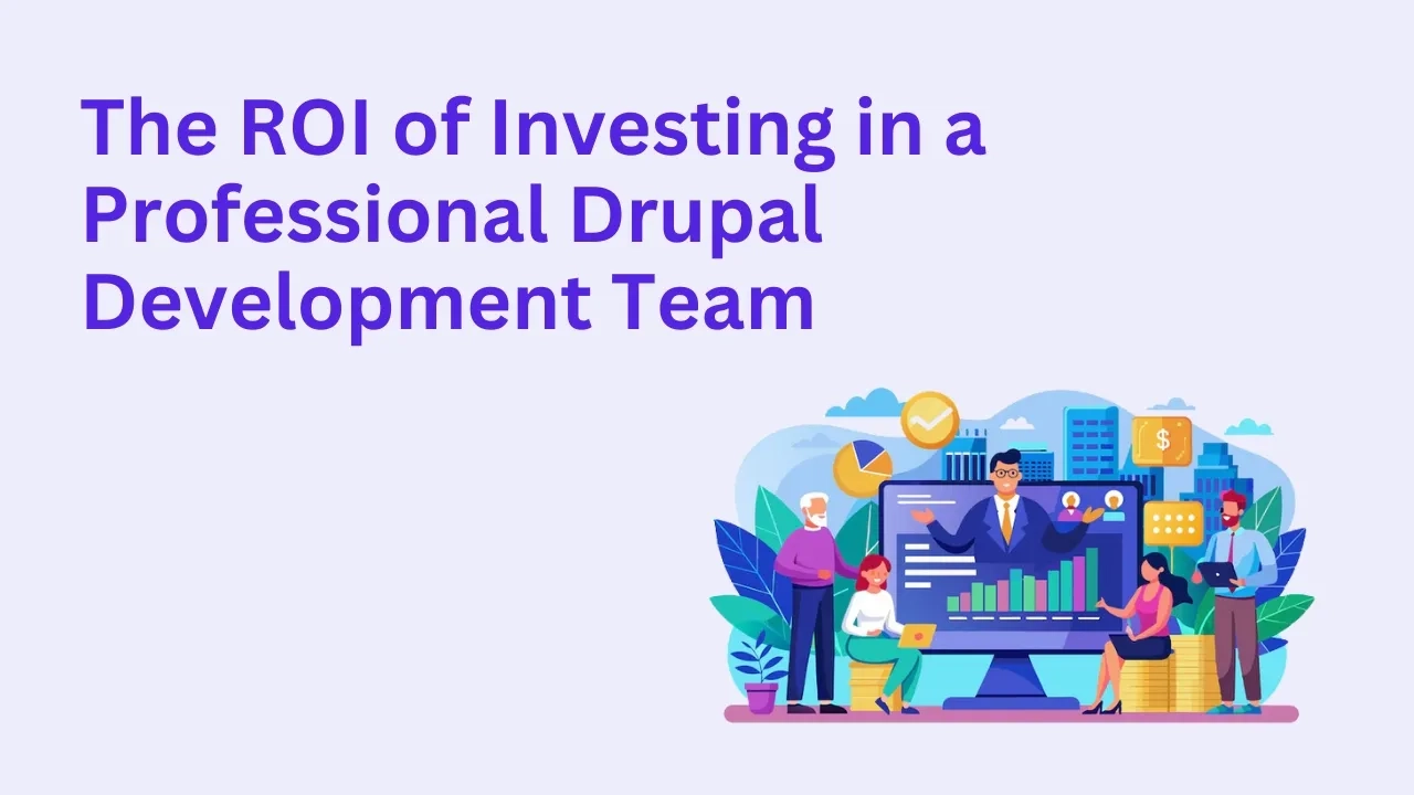 The ROI of Investing in a Professional Drupal Development Team